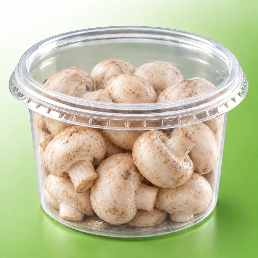 POTE PET PLASZOM COM TAMPA 500ML 25 UNIDADES - Imagem 2